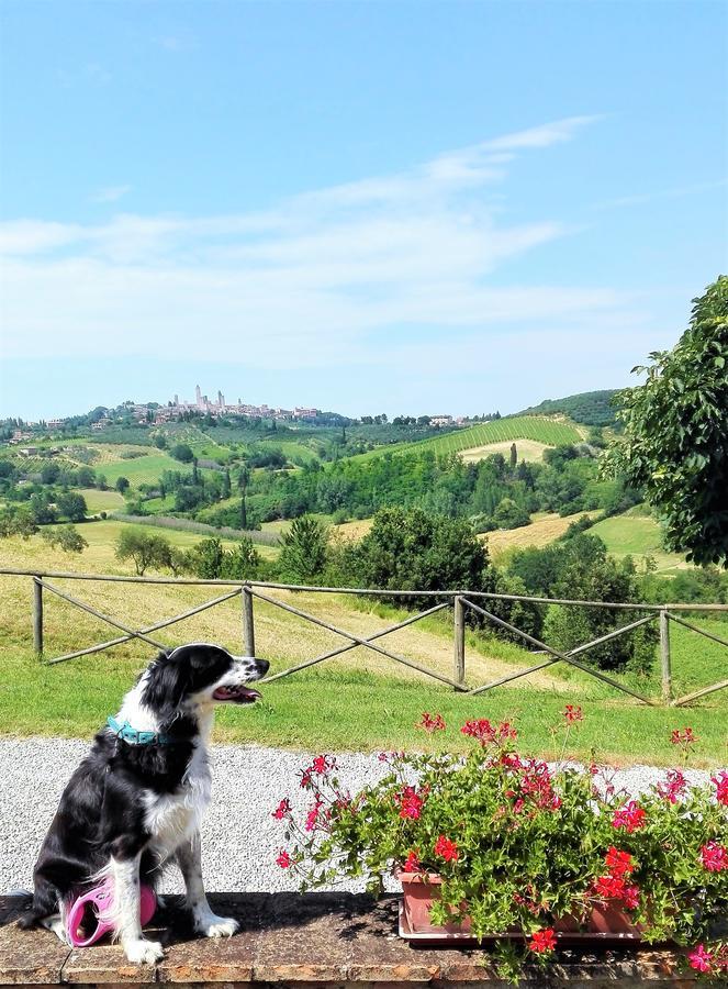 Вилла Agriturismo Poggiacolle Сан-Джиминьяно Экстерьер фото